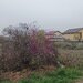 Sabareni, teren intravilan 3767 mp, cu utilitati